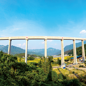 湖北省漳河总干渠2024年工程运行维护项目（小型水库维修养护） 竞争性谈判结果公示